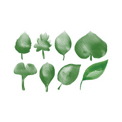watercolor green leaves  design 