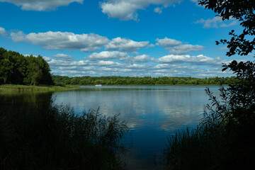 Landscape, view of the lake and the shore, green trees and water surface