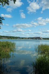 Landscape, view of the lake and the shore, green trees and water surface