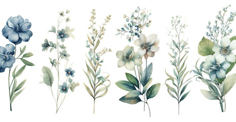 flowers isolated on white