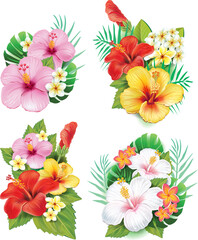 Set of Beautiful hibiscus flowers, blooming tropical floral elements Vector illustration on white background. - obrazy, fototapety, plakaty