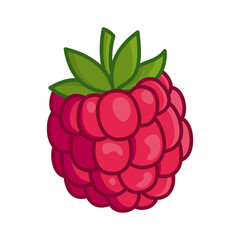Juicy raspberry isolated on a white background. Vector illustration of berries for design