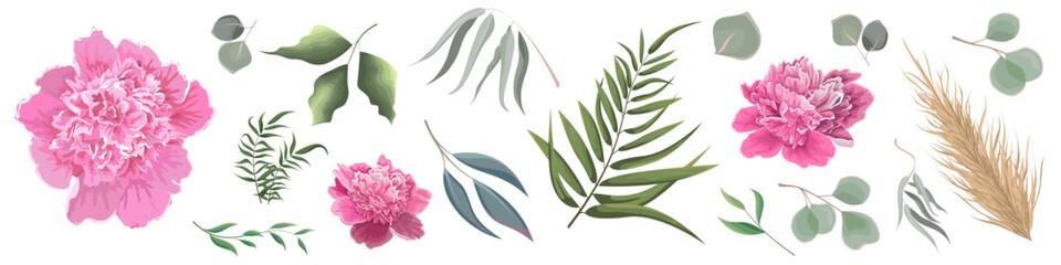 Mix of herbs and plants vector collection. Green plants and leaves. All elements are isolated. Pink peony. . Vector illustration
