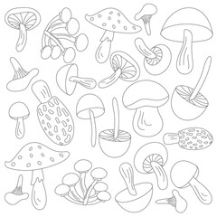 Mushrooms black line stroke for children's books and coloring books. A collection of autumn mushrooms in black and white is isolated on a white background.