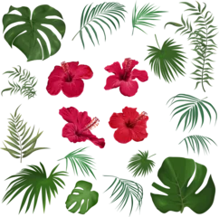Gordijnen Tropische Bladeren Large vector set of tropical plants and flowers on a white background. Red hibiscus, palm leaves and other tropical plants. . Vector illustration  © Alena