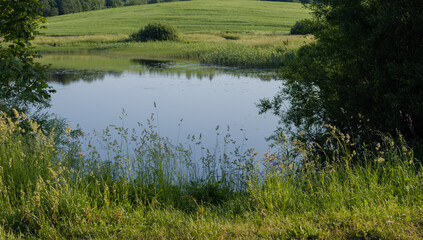 Landscape, view of the lake and the shore, green trees and water surface