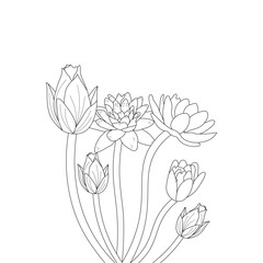 hand drawn flowers