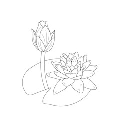 illustration of lotus flower