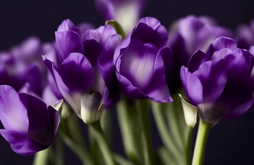 Beautiful eustoma flowers on dark color background, closeup, generative ai