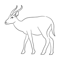 Silhouette of a Antelope made in sketch style. Vector illustration.