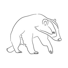 Silhouette of a Badger made in sketch style. Vector illustration.