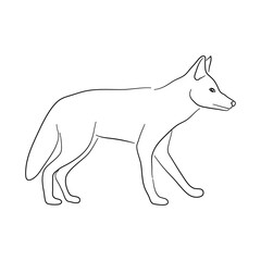 Silhouette of a Jackal made in sketch style. Vector illustration.