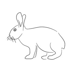 Hand-drawn Rabbit. Sketch vector illustration.