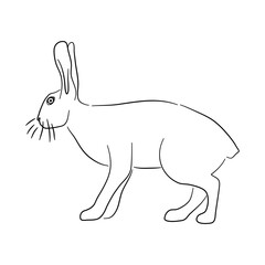 Silhouette of a Hare made in sketch style. Vector illustration.