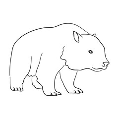 Hand-drawn Wombat. Sketch vector illustration.