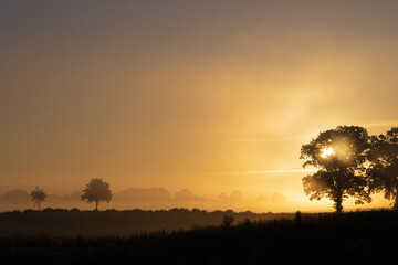 Magischers Licht am Feld im Nebel am Morgen.
