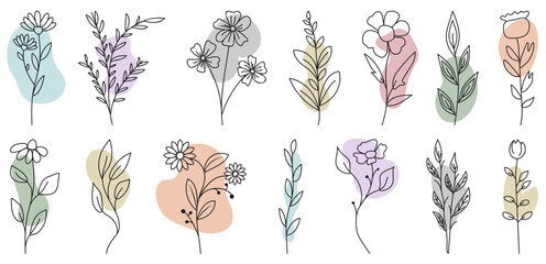 Set of wild flowers and leaves with abstract fluid shapes. Vector illustration