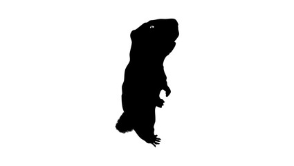 marmot silhouette