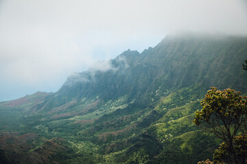 Obraz premium Foggy mist over the ocean and Kokee State Park on the island of Kauai, Hawaii