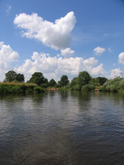 Obraz premium Landscape, view of the lake and the shore, green trees and water surface