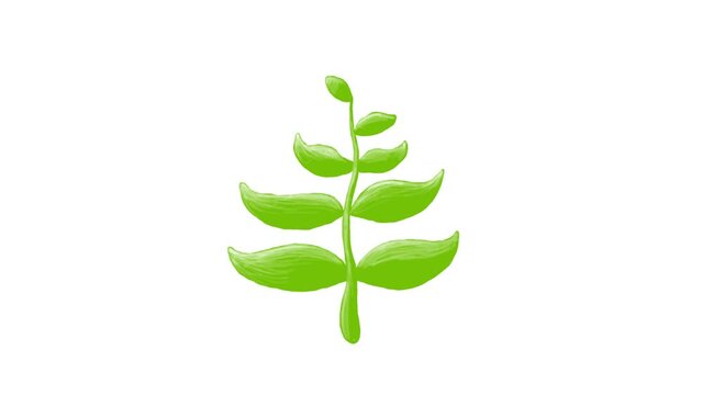 Growing Green Sapling Time Lapse 2D Video Animation. Frame by frame hand drawn animation about seed growing.