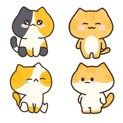 set of cats, meow, kitty, cat, animal, pet