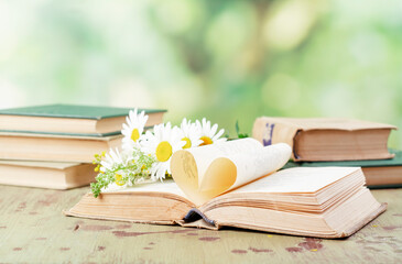 Book with opened pages in shape of heart and stacked books on reading desk in a garden. National library, books lovers day or month. Back to school or education learning background. Copy space