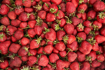 Fresh strawberries in a box. Strawberry group. The background of nutrition. Strawberry background with space to copy. High quality photo