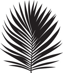 coconut leaf vector illustration