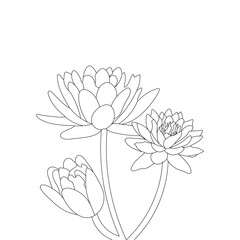 Hand Drawn of Water lily Nymphaea isolated on White Background Coloring Page 