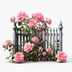 pink roses in a pot