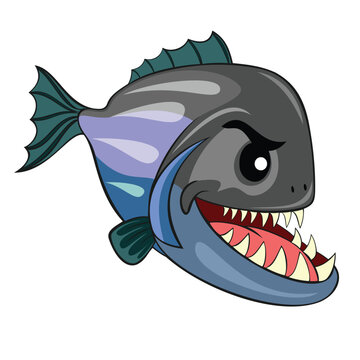 piranha vector art illustration pygocentrus nattereri design
