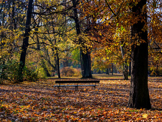 Lazienki Park or Royal Baths Park, Warsaw, Masovian Voivodeship, Poland