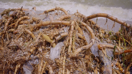 Plastic mixed with reed roots lies on sand, floating debris has reached Black Sea beaches in Odessa, Ukraine. Environmental disaster caused by explosion of Kakhovka Hydroelectric Power Plant dam