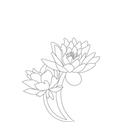 Lotus Flower Coloring Page Hand Drawn Line Art Vector Illustration