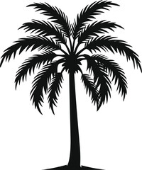 palm tree isolated image illustration