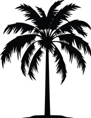 Obraz premium palm tree isolated image illustration