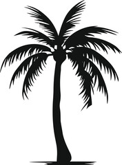 palm tree isolated image illustration