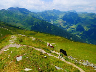 Fototapeta na wymiar View on mountains near Saalbach Hinterglemm ski resort on a summer day