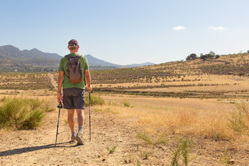 Mature man from the back walking with sticks on a dirt road in the middle of nature. He is wearing shorts, a backpack, a green t-shirt and a cap. The ground is dry and golden. 