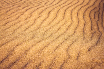 Ripples in sand