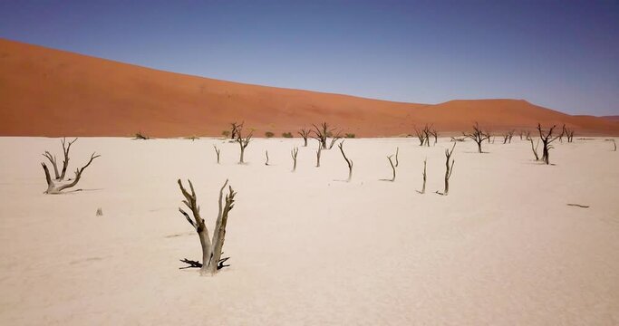 4K Aerial drone footage of dead acacia trees in Deadvlei. Dry clay pan with red desert sand dunes in Sossusvlei or Sesriem in Namibia. Namib Desert and Big Daddy dune. Cinematic High quality footage.
