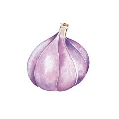 cocktail set. summer bright drinks in different glasses. Watercolor illustration. for banners, postcards, websites