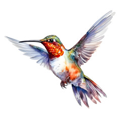 cute hummingbird in watercolor design against transparent background