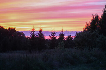 Fototapeta na wymiar Sunset in the countryside. Summer evening. Bright sky.