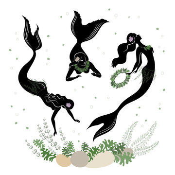 Mermaid silhouette. Beautiful girls swim in the water, dance. The lady is young and slim. Fantastic fairy tale image of algae, plants. vector illustration set.