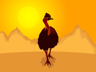 Australian Cassowary on a stylized mountain background, Vector illustration 