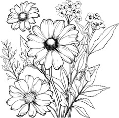 Wildflower Illustration
