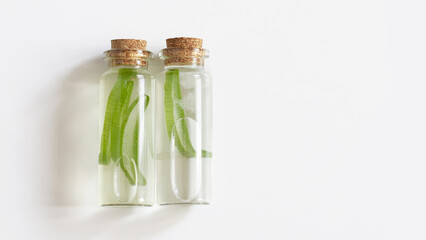 Aloe Vera in bottles and liquids.