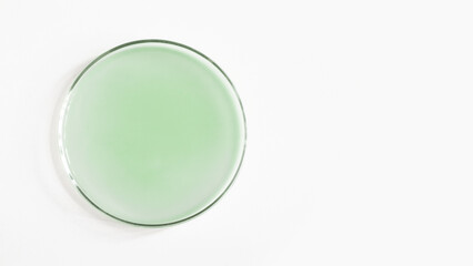 Green gel in a Petri dish. Natural cosmetic. green laboratory